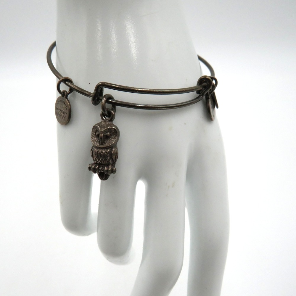 Alex And Ani Owl Charm Bangle Bracelet Rafaelian Silver Tone Adjustable Womens‎